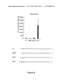 STRUCTURE AND USE OF 5  PHOSPHATE OLIGONUCLEOTIDES diagram and image