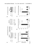 STRUCTURE AND USE OF 5  PHOSPHATE OLIGONUCLEOTIDES diagram and image