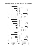 STRUCTURE AND USE OF 5  PHOSPHATE OLIGONUCLEOTIDES diagram and image