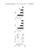 STRUCTURE AND USE OF 5  PHOSPHATE OLIGONUCLEOTIDES diagram and image