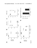 STRUCTURE AND USE OF 5  PHOSPHATE OLIGONUCLEOTIDES diagram and image