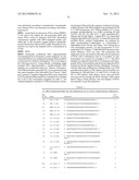 STRUCTURE AND USE OF 5  PHOSPHATE OLIGONUCLEOTIDES diagram and image