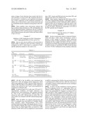 STRUCTURE AND USE OF 5  PHOSPHATE OLIGONUCLEOTIDES diagram and image