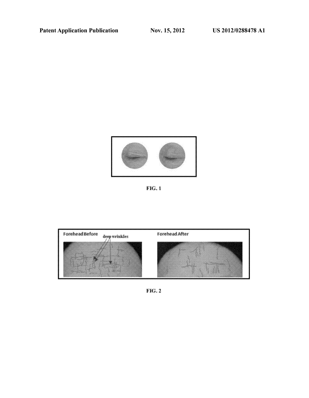 COSMETIC COMPOSITIONS - diagram, schematic, and image 02