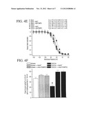 Method for Ameliorating or Preventing Arrhythmic Risk Associated with     Cardiomyopathy diagram and image