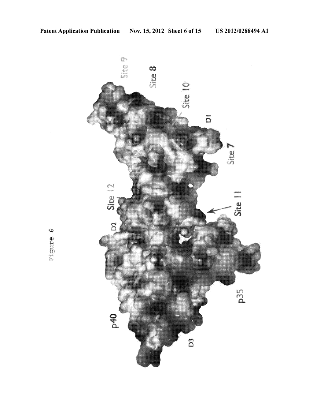 Anti-IL-12/IL-23 antibodies and uses thereof - diagram, schematic, and image 07