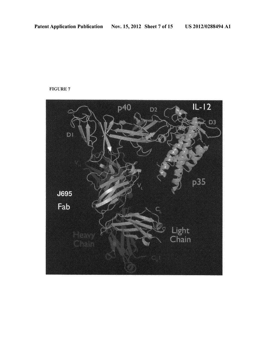 Anti-IL-12/IL-23 antibodies and uses thereof - diagram, schematic, and image 08