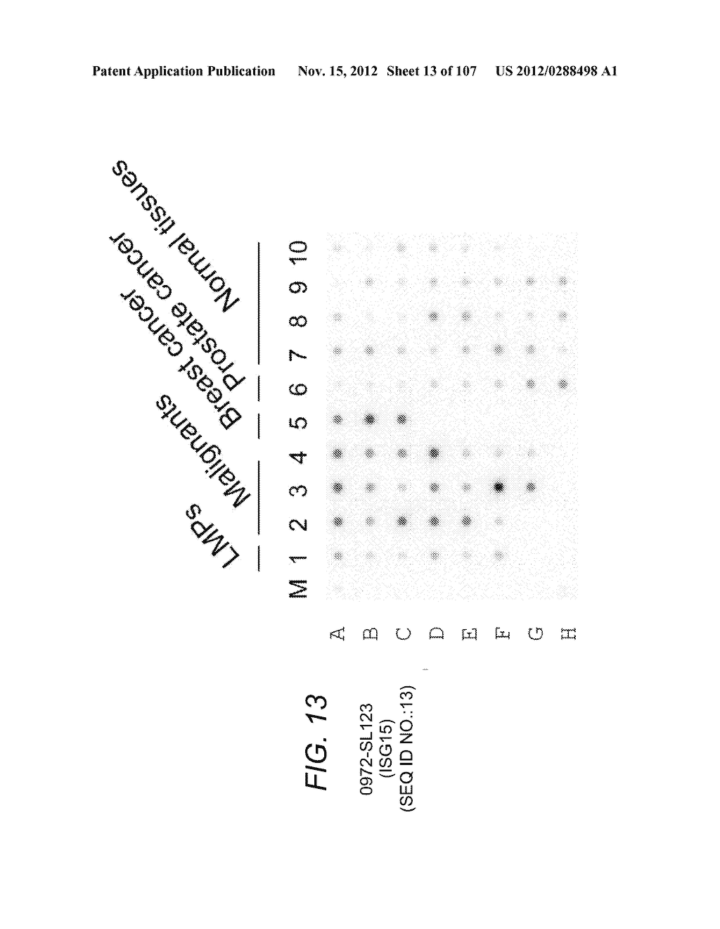 POLYNUCLEOTIDES AND POLYPEPTIDE SEQUENCES INVOLVED IN CANCER - diagram, schematic, and image 14