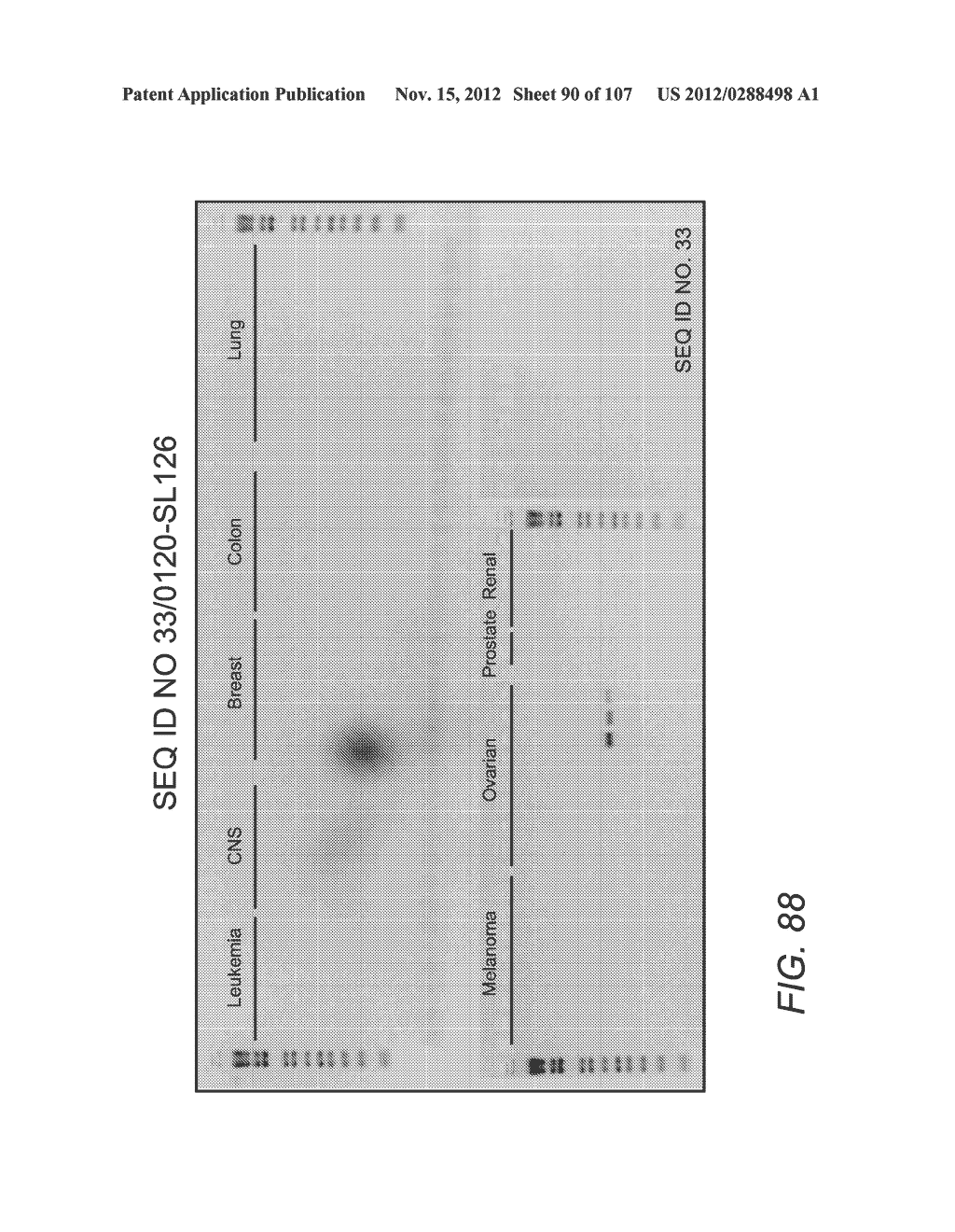 POLYNUCLEOTIDES AND POLYPEPTIDE SEQUENCES INVOLVED IN CANCER - diagram, schematic, and image 91