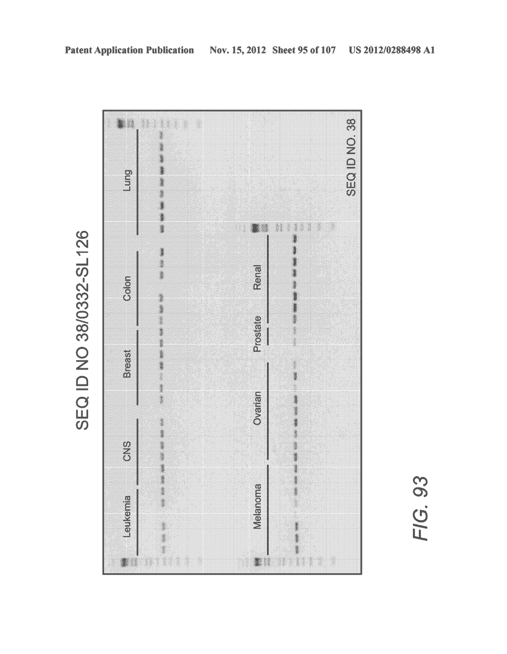 POLYNUCLEOTIDES AND POLYPEPTIDE SEQUENCES INVOLVED IN CANCER - diagram, schematic, and image 96