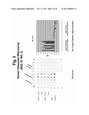 POLYNUCLEOTIDES AND POLYPEPTIDE SEQUENCES INVOLVED IN THE PROCESS OF BONE     REMODELING diagram and image