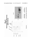 POLYNUCLEOTIDES AND POLYPEPTIDE SEQUENCES INVOLVED IN THE PROCESS OF BONE     REMODELING diagram and image