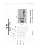 POLYNUCLEOTIDES AND POLYPEPTIDE SEQUENCES INVOLVED IN THE PROCESS OF BONE     REMODELING diagram and image