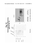 POLYNUCLEOTIDES AND POLYPEPTIDE SEQUENCES INVOLVED IN THE PROCESS OF BONE     REMODELING diagram and image