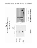 POLYNUCLEOTIDES AND POLYPEPTIDE SEQUENCES INVOLVED IN THE PROCESS OF BONE     REMODELING diagram and image