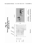 POLYNUCLEOTIDES AND POLYPEPTIDE SEQUENCES INVOLVED IN THE PROCESS OF BONE     REMODELING diagram and image