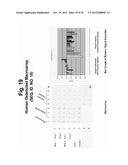 POLYNUCLEOTIDES AND POLYPEPTIDE SEQUENCES INVOLVED IN THE PROCESS OF BONE     REMODELING diagram and image