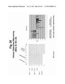 POLYNUCLEOTIDES AND POLYPEPTIDE SEQUENCES INVOLVED IN THE PROCESS OF BONE     REMODELING diagram and image