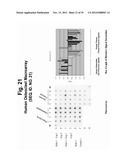 POLYNUCLEOTIDES AND POLYPEPTIDE SEQUENCES INVOLVED IN THE PROCESS OF BONE     REMODELING diagram and image