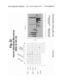 POLYNUCLEOTIDES AND POLYPEPTIDE SEQUENCES INVOLVED IN THE PROCESS OF BONE     REMODELING diagram and image