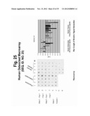 POLYNUCLEOTIDES AND POLYPEPTIDE SEQUENCES INVOLVED IN THE PROCESS OF BONE     REMODELING diagram and image