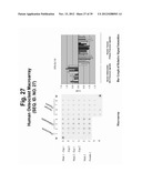 POLYNUCLEOTIDES AND POLYPEPTIDE SEQUENCES INVOLVED IN THE PROCESS OF BONE     REMODELING diagram and image