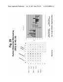 POLYNUCLEOTIDES AND POLYPEPTIDE SEQUENCES INVOLVED IN THE PROCESS OF BONE     REMODELING diagram and image