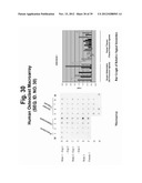 POLYNUCLEOTIDES AND POLYPEPTIDE SEQUENCES INVOLVED IN THE PROCESS OF BONE     REMODELING diagram and image