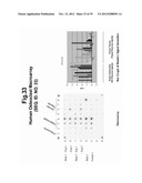 POLYNUCLEOTIDES AND POLYPEPTIDE SEQUENCES INVOLVED IN THE PROCESS OF BONE     REMODELING diagram and image