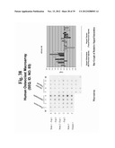 POLYNUCLEOTIDES AND POLYPEPTIDE SEQUENCES INVOLVED IN THE PROCESS OF BONE     REMODELING diagram and image