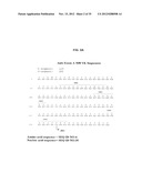 ANTIBODIES AGAINST CLOSTRIDIUM DIFFICILE TOXINS AND USES THEREOF diagram and image