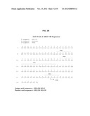 ANTIBODIES AGAINST CLOSTRIDIUM DIFFICILE TOXINS AND USES THEREOF diagram and image