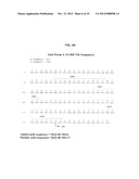 ANTIBODIES AGAINST CLOSTRIDIUM DIFFICILE TOXINS AND USES THEREOF diagram and image