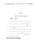 ANTIBODIES AGAINST CLOSTRIDIUM DIFFICILE TOXINS AND USES THEREOF diagram and image