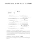 ANTIBODIES AGAINST CLOSTRIDIUM DIFFICILE TOXINS AND USES THEREOF diagram and image