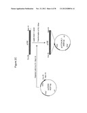 Markers of XMRV Infection And Uses Thereof diagram and image