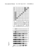 Markers of XMRV Infection And Uses Thereof diagram and image