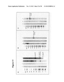 Markers of XMRV Infection And Uses Thereof diagram and image