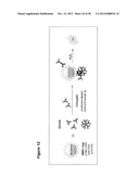 Markers of XMRV Infection And Uses Thereof diagram and image