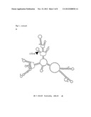 Recombinant Flavivirus Vaccines diagram and image