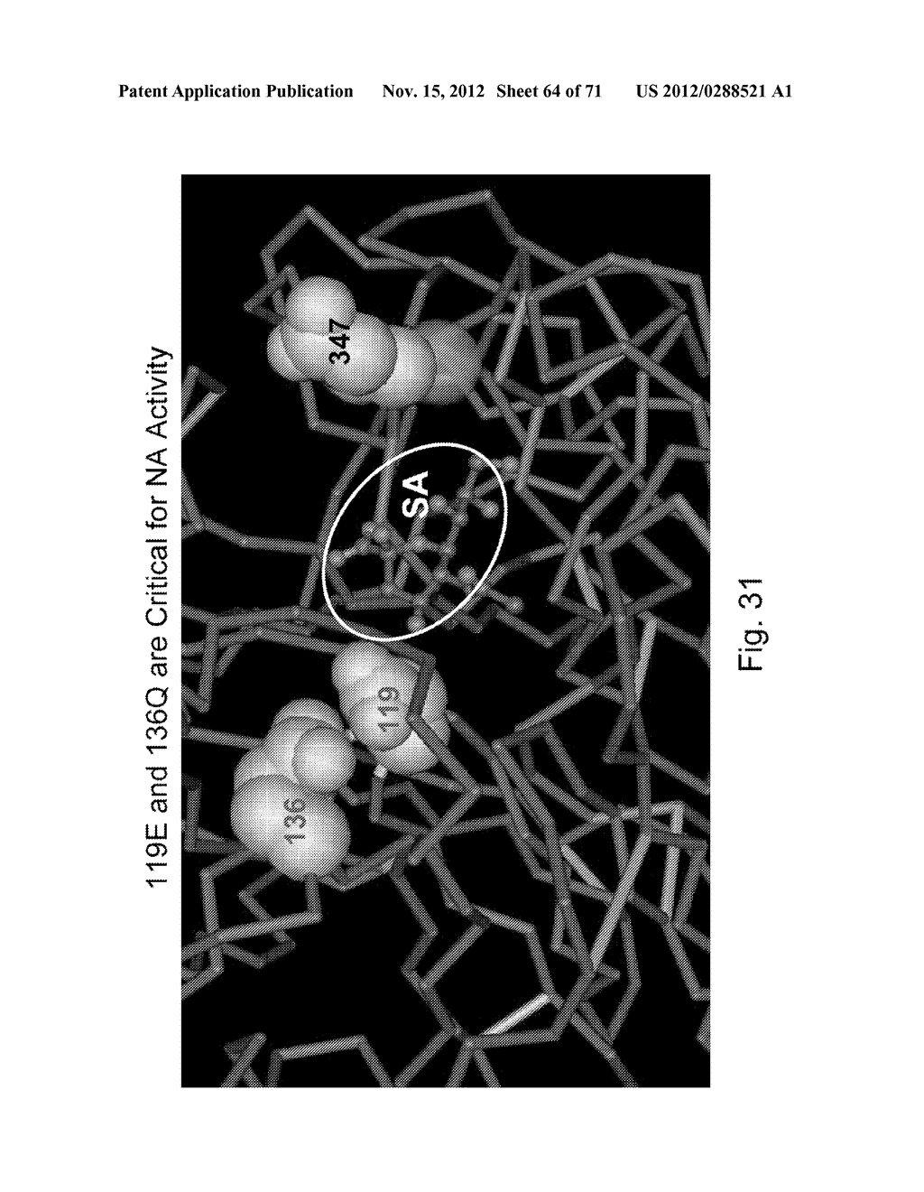 MULTI PLASMID SYSTEM FOR THE PRODUCTION OF INFLUENZA VIRUS - diagram, schematic, and image 65