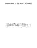 DNA SEQUENCE AND PREPARATION OF GRASS POLLEN ALLERGEN PHL P4 BY     RECOMBINANT METHODS diagram and image