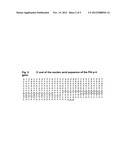 DNA SEQUENCE AND PREPARATION OF GRASS POLLEN ALLERGEN PHL P4 BY     RECOMBINANT METHODS diagram and image