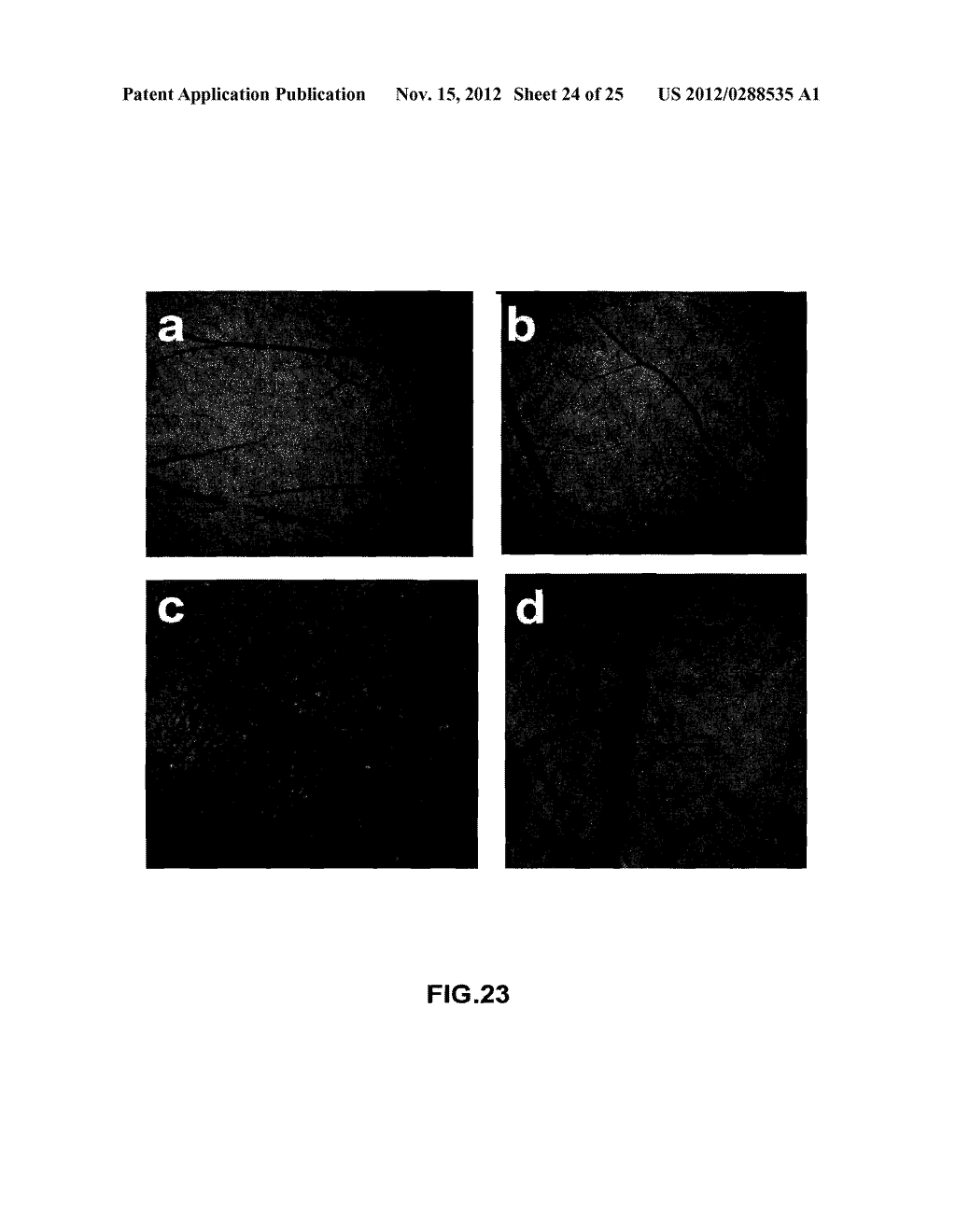 RARE EARTH NANOPARTICLES - diagram, schematic, and image 25