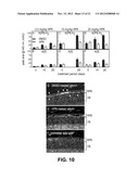 METHODS AND COMPOSITIONS FOR TREATING OPHTHALMIC CONDITIONS VIA SERUM     RETINOL, SERUM RETINOL BINDING PROTEIN (RBP), AND/OR SERUM RETINOL-RBP     MODULATION diagram and image