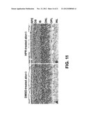 METHODS AND COMPOSITIONS FOR TREATING OPHTHALMIC CONDITIONS VIA SERUM     RETINOL, SERUM RETINOL BINDING PROTEIN (RBP), AND/OR SERUM RETINOL-RBP     MODULATION diagram and image