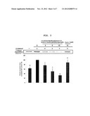 USE OF LIGNAN COMPOUND FOR ANTI-WRINKLE TREATMENT diagram and image