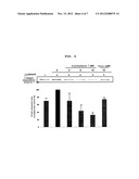 USE OF LIGNAN COMPOUND FOR ANTI-WRINKLE TREATMENT diagram and image