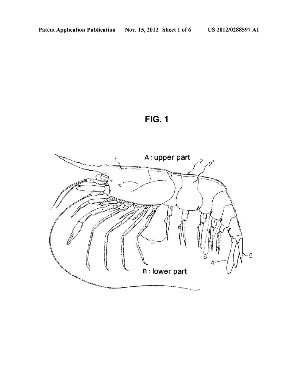 METHOD OF FRYING SHRIMP TO MAINTAIN SHAPE THEREOF - diagram, schematic, and image 02