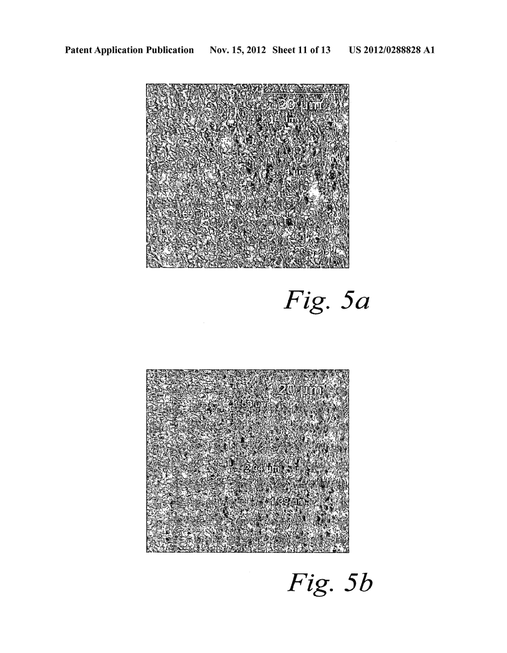 SURFACE TREATMENT PROCESS FOR IMPLANTS MADE OF TITANIUM ALLOY - diagram, schematic, and image 12